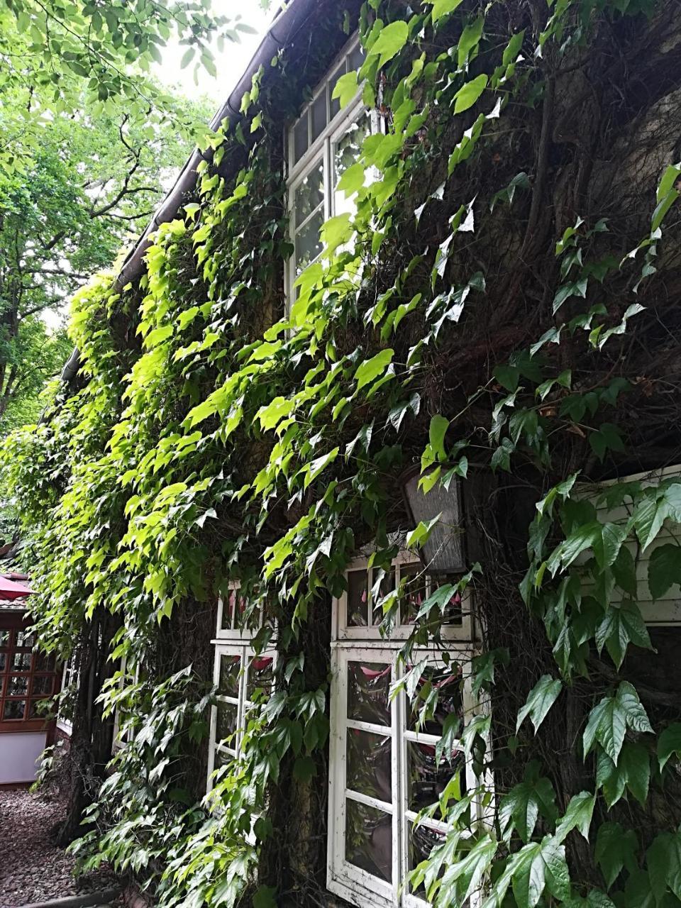 Gasthof Bad Hopfenberg เพเทอร์สฮาเกน ภายนอก รูปภาพ